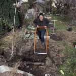 Das Beet wird umgegraben mit der Broadfork.