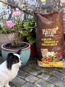 Patzer Natur Erde für Stauden.