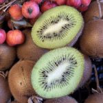 Kiwi Ernte im Winterlager zum Nachreifen