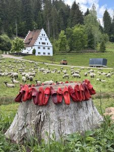 Bärenschlössle und Walderlebnis