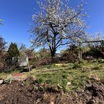 Wildblumenwiese, bereit für die Aussaat