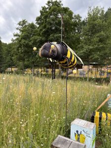 Wildblumenwiese im Tal-X