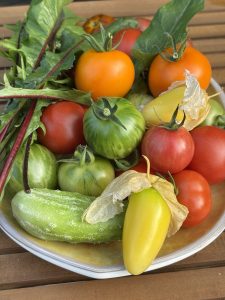 Tomaten Sorten für den Balkongarten