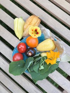 Salsa Zutaten mit Tomatillo Kapuzinerkresse