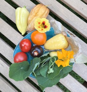 Salsa Zutaten mit Tomatillo Kapuzinerkresse