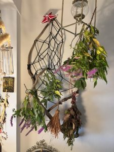 Kräuter trocknen im Wohnzimmer