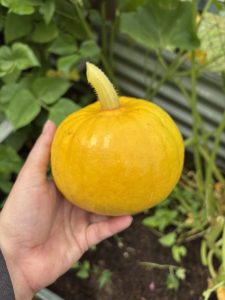 Einmal falsch geschnitten