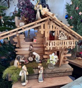 Christrose Nieswurz Brauchtum an der Weihnachtskrippe