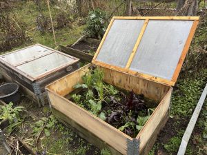 Frühbeete aus Palettenrahmen