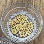 Selbst geerntete Chili Samen für die Aussaat.