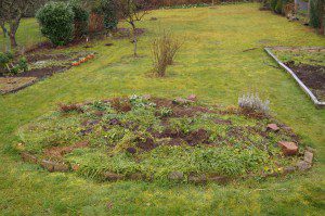 Garteninsel in der Mitte 2016
