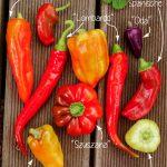 Paprika Vielfalt