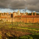 Der Gemüsegarten von Blickling Hall...