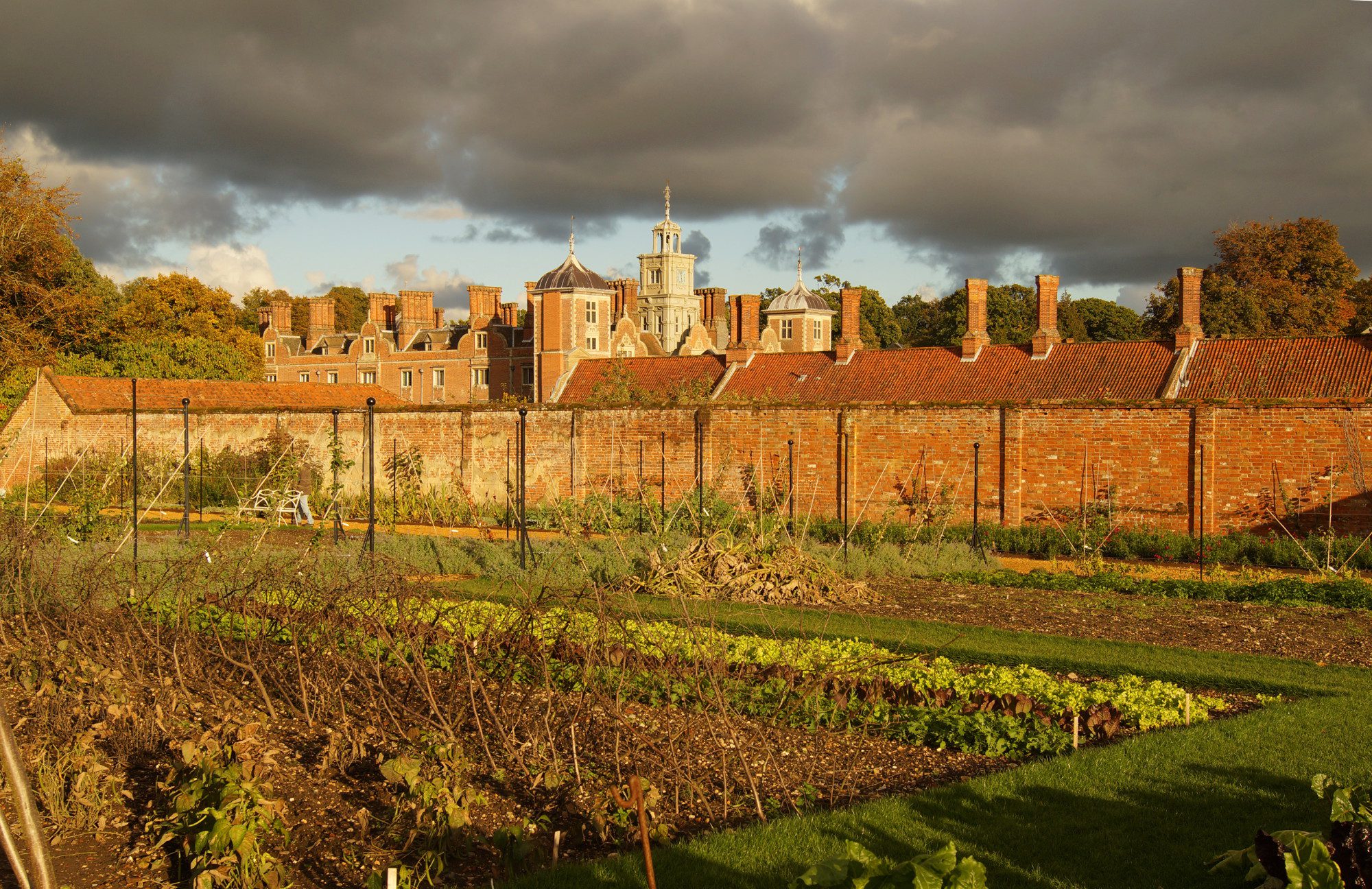 Der Gemüsegarten von Blickling Hall...