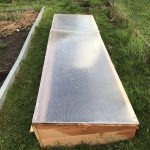 Frühbeet mit Plexiglas Abdeckunga