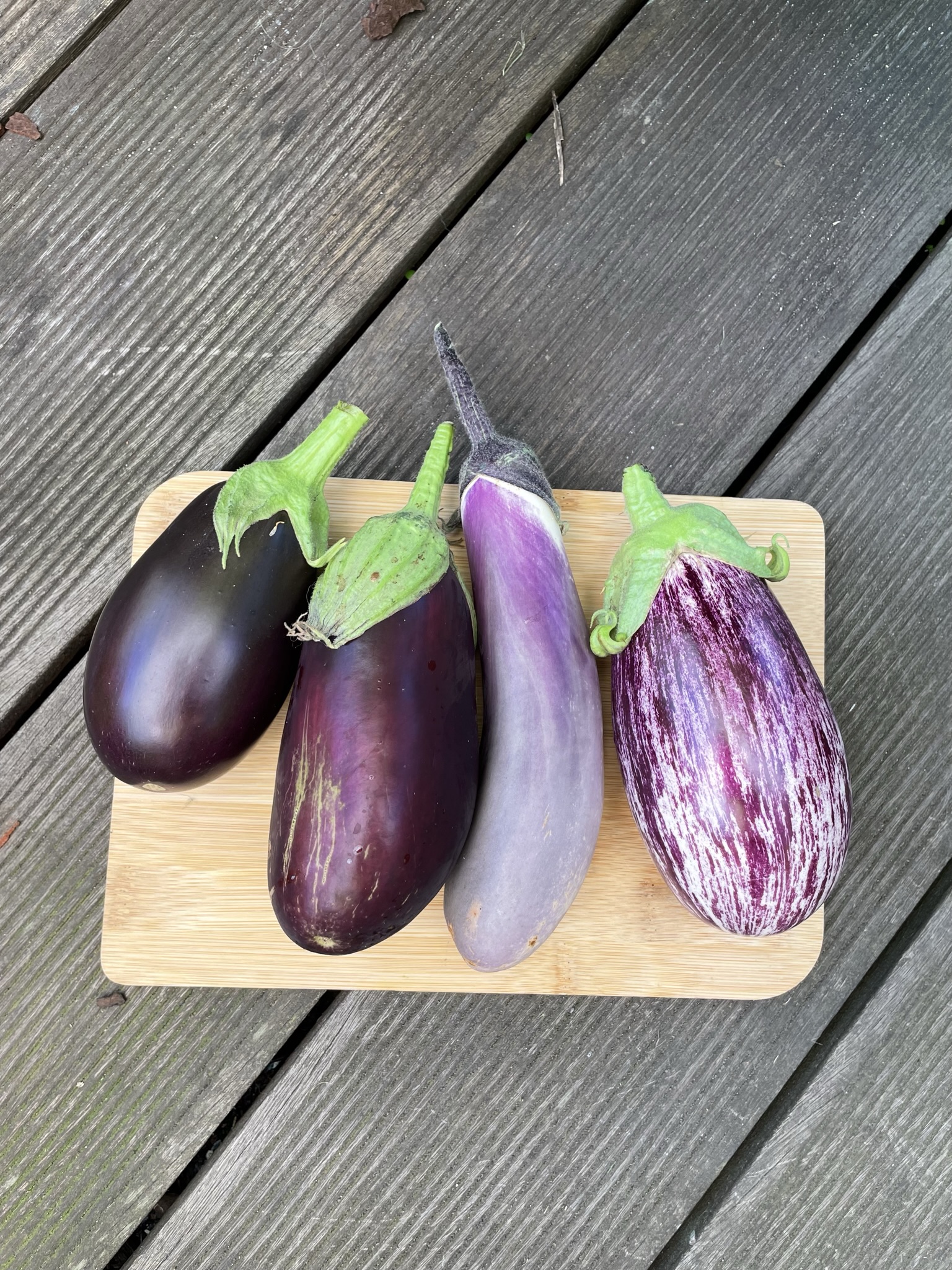 Auberginen Vielfalt Ernte