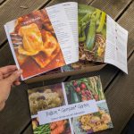 Ratgeber Balkon Gemüse Garten