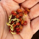 getrockneter Erdbeerspinat