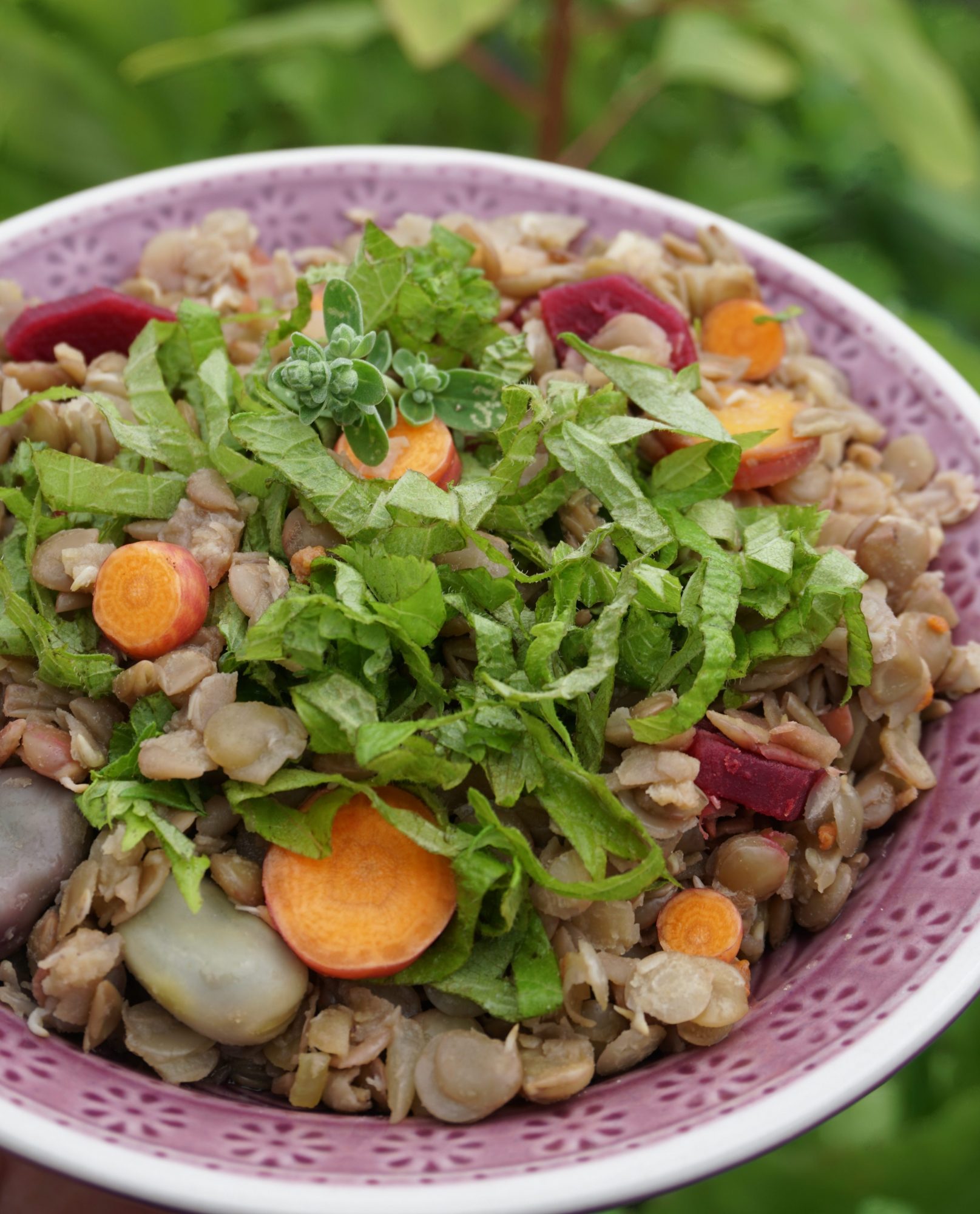Leckerer Linseneintopf mit dem Gemüse aus dem eigenen Balkongarten