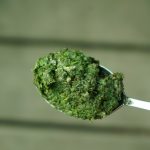 selbst gemachtes Shiso Pesto