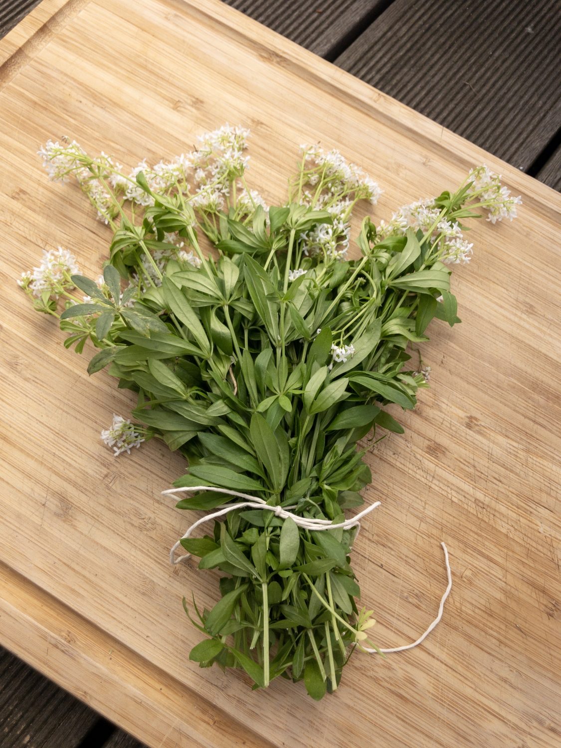 Waldmeister im Mai | Balkon Gemüse Garten in Baden-Baden