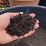 Kompost im Balkon Gemüse Garten