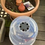 Deckel drauf, das schützt vor Austrocknung