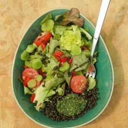 Gartensalat mit Beluga Linsen und Shiso Pesto.