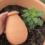 Kleine Olla für einen Pflanztopf/ Kübel