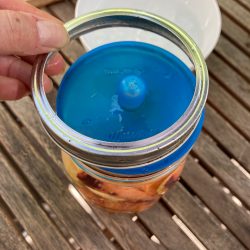 Karotten fermentieren im Glas.