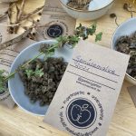 Gemüsemalve Saatgut, selbst gesammelt im Küchengarten