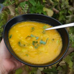 Kürbis Kartoffelsuppe