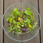 Frühlingssalat mit Spargel