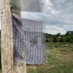 Besondere Kraftorte.