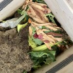 Regelmäßig gibt es Gemüse Reste zu futtern.