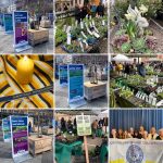 Soroptimist, Pflanzenmarkt in Edenkoben und Grüne Arche für alte Nutzpflanzen.