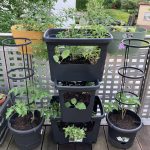 Pflanzkübel Stack Grow elho