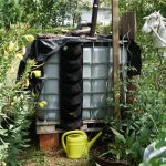 Regen sammeln in IBC Tanks.