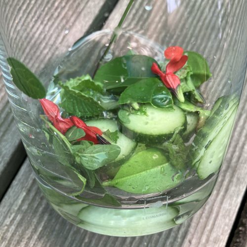Ansatz Limonade mit Kaffir, Minze, Salbeiblüten und Gurke.