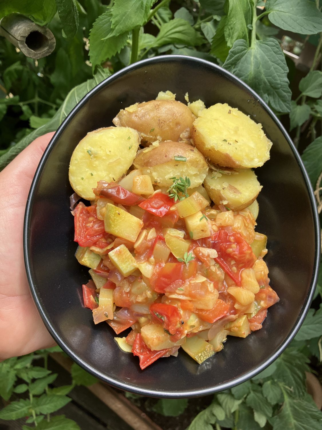 Ratatouille aus frischem Gartengemüse.