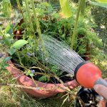 Gießen mit Leitungswasser