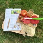 Gemüse Aussaat Kalender