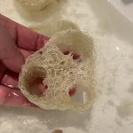 Gründlich die Luffa Schwämme auswaschen.