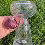 Mein neues Hyazinthen Glas.