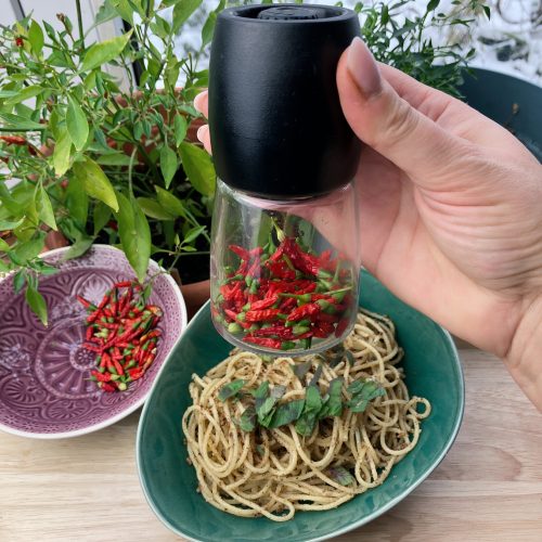 Chili Gewürzmühle
