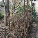 Das ist noch Platz zwischen den Bengel.