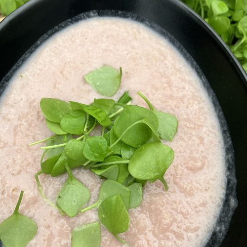 Radieschen Rose Suppe