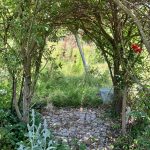 Schatten unterm Weidebogen.