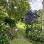 Rewilding Cottage Garden