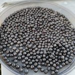 Aronia Apfelbeere gedörrt